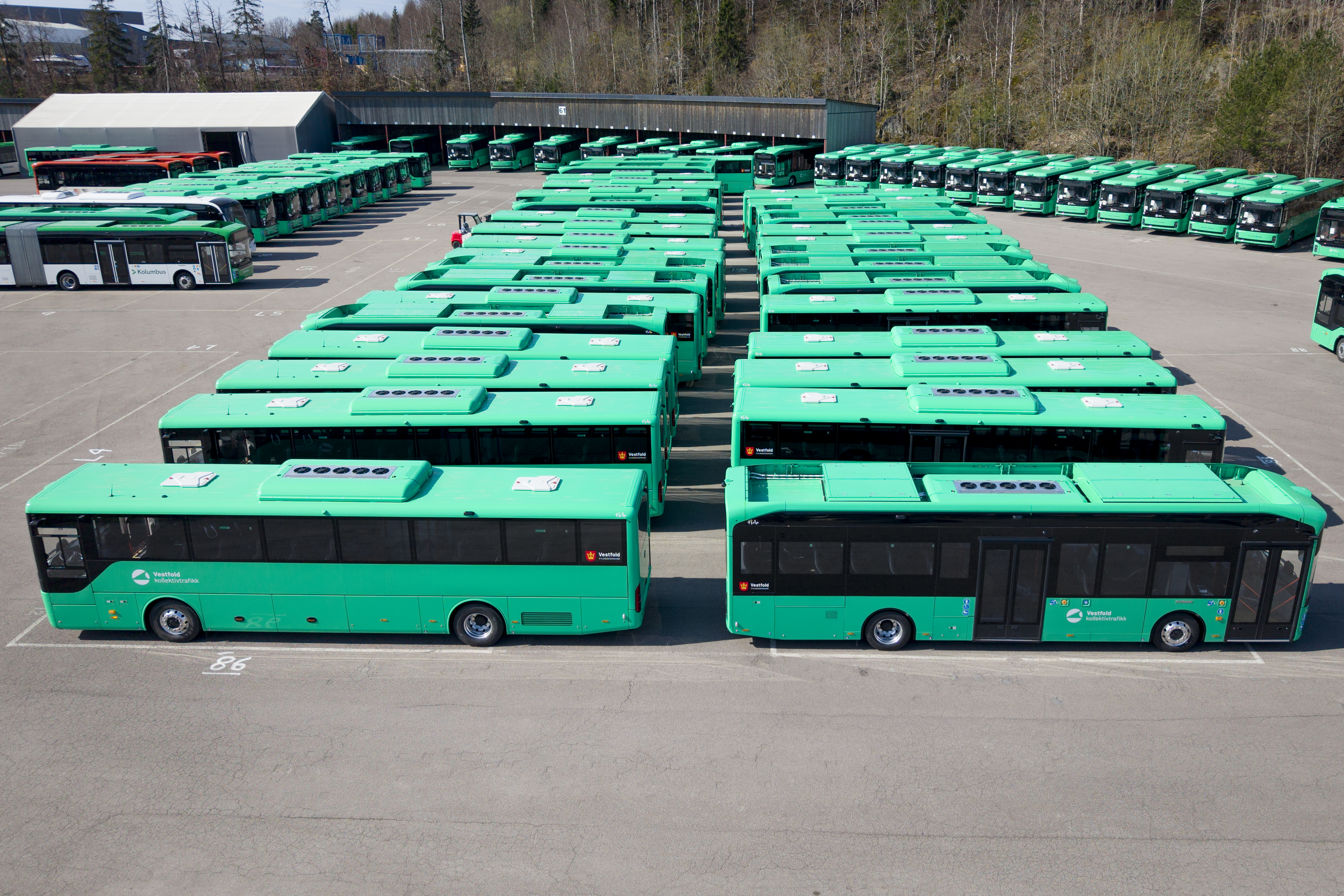 Elektriske Busser Vestfold